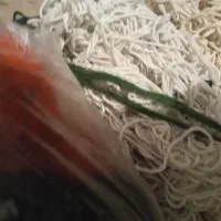 تعدادی نخ برای بافت قالیچه|لوازم خیاطی و بافتنی|بیرجند, |دیوار