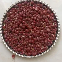پیاز ریز|خوردنی و آشامیدنی|گوآور, |دیوار