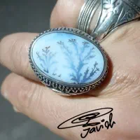 2عدد انگشتر شجر.رکاب نقره برند