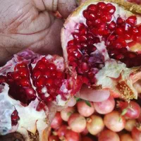 فروش انار درجه یک
