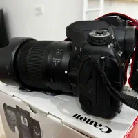 دوربین عکاسیcanon80D|دوربین عکاسی و فیلمبرداری|کرمان, |دیوار