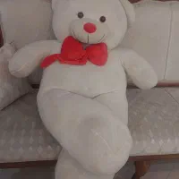 خرس بزرگ فقط ۲ میلیون تومان