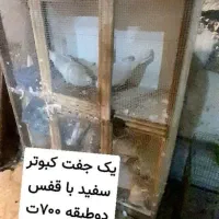 تعدادی وسایل
