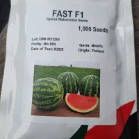 بذر هندوانه فست پربار