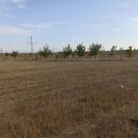 فروش زمین کشاورزی