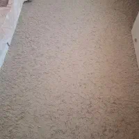 فرش شگی|فرش|تهران, قلهک|دیوار