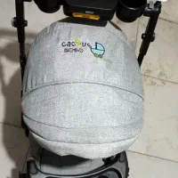 کالسکه دلیجان|کالسکه و لوازم جانبی|بیرجند, |دیوار