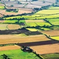 زمین-کشاورزی-صالح-آباد