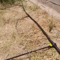 آبیاری قطره ای