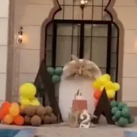 بادکنک آرایی و تم تولد با کمترین قیمت در ایران|اسباببازی|قم, دروازه ری|دیوار