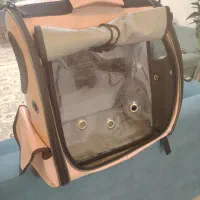 کیف رودوشی حمل سگ و گربه|لوازم جانبی حیوانات|آستارا, |دیوار