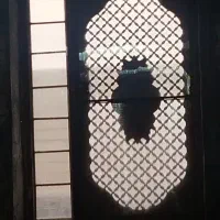 اجاره-سالن-250-متری