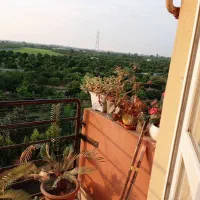 آپارتمان ۷۵ متری ۲ خواب با منظره زیبا و باغی|فروش آپارتمان|قائمشهر, |دیوار