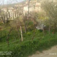 فروش زمین مسکونی