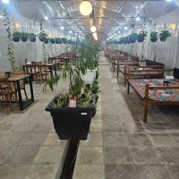 کار در رستوران