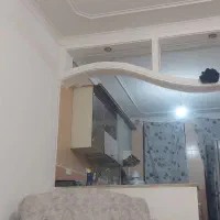 همخانه خانم