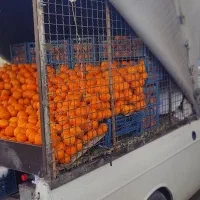 فروش وانت بار