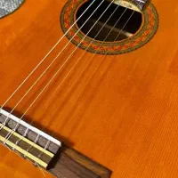 گیتار یاماها درحد نو|گیتار، بیس، امپلیفایر|قم, فرهنگیان و شهربانی|دیوار