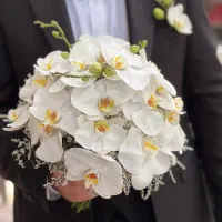 گلفروشی آنلاین