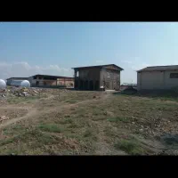 استخدام نیرو