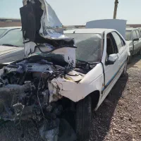 پارس تصادفی