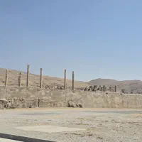 داوطلبانه