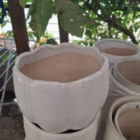 یکسری گلدان سرامیک کلی فروخته میشود