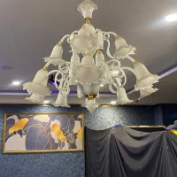 لوستر اوپال وارداتی