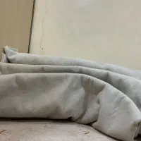 موکت|موکت|اهواز, کمپلو جنوبی|دیوار