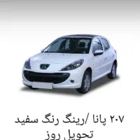 ۲۰۷پانا اتومات خشک