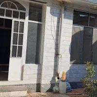 حیاط مسکونی همکف در بلوار حاجیسنلو وصال۲|اجارهٔ خانه و ویلا|خوی, |دیوار