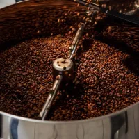 دان قهوه عمده و تک فروشی(سورت شده و بسیار باکیفیت)