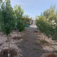 باغ ویلا اجاره ای|اجارهٔ کوتاه‌مدت ویلا و باغ|مشهد, تبادکان|دیوار