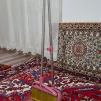 جارو خاک انداز دسته بلند لیمون