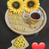 قندو نبات فانتزی|خوردنی و آشامیدنی|مشهد, سجادیه|دیوار