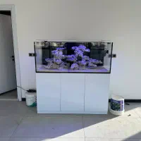 اکواریوم اب شور