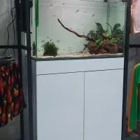 آکواریوم ریملس ۱۰ میل در حد نو