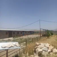 دامداری ۵۰۰راسی  پروار بندی صنعتی املاک سیدذاکر
