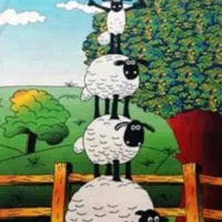 4متری|فرش|زیویه, |دیوار