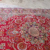 فروش قالی کرمانی|فرش|کرمان, |دیوار