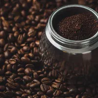 پخش دان قهوه با کیفیت به قیمت