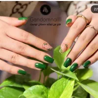 کاشت ناخن تخ فیف|خدمات آرایشگری و زیبایی|مرودشت, ژیان|دیوار