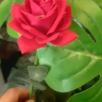 شاخه گل مصنوعی هدیه ویژه روز دانش آموز و...|گل و گیاه طبیعی|شیراز, نصرآباد|دیوار