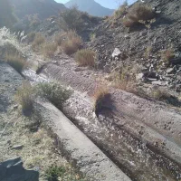 باغ فروشی|فروش دفتر صنعتی، کشاورزی، تجاری|کرمان, |دیوار