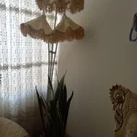 آباژور کنار سالنی