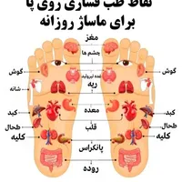 حجامت مشاوره طب سنتی