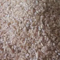 بلغور گندم و گندم پوست کنده درجه 1