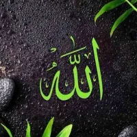 فال های حقیقی تضمینی