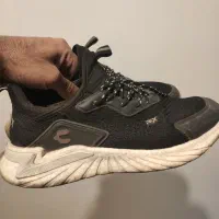 کفش اورجینال|کیف، کفش، کمربند|بیرجند, |دیوار