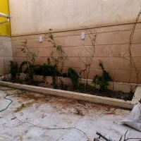 چوب بری کاشت باغچه حرس درخت|خدمات باغبانی و درختکاری|قم, زنبیل آباد|دیوار